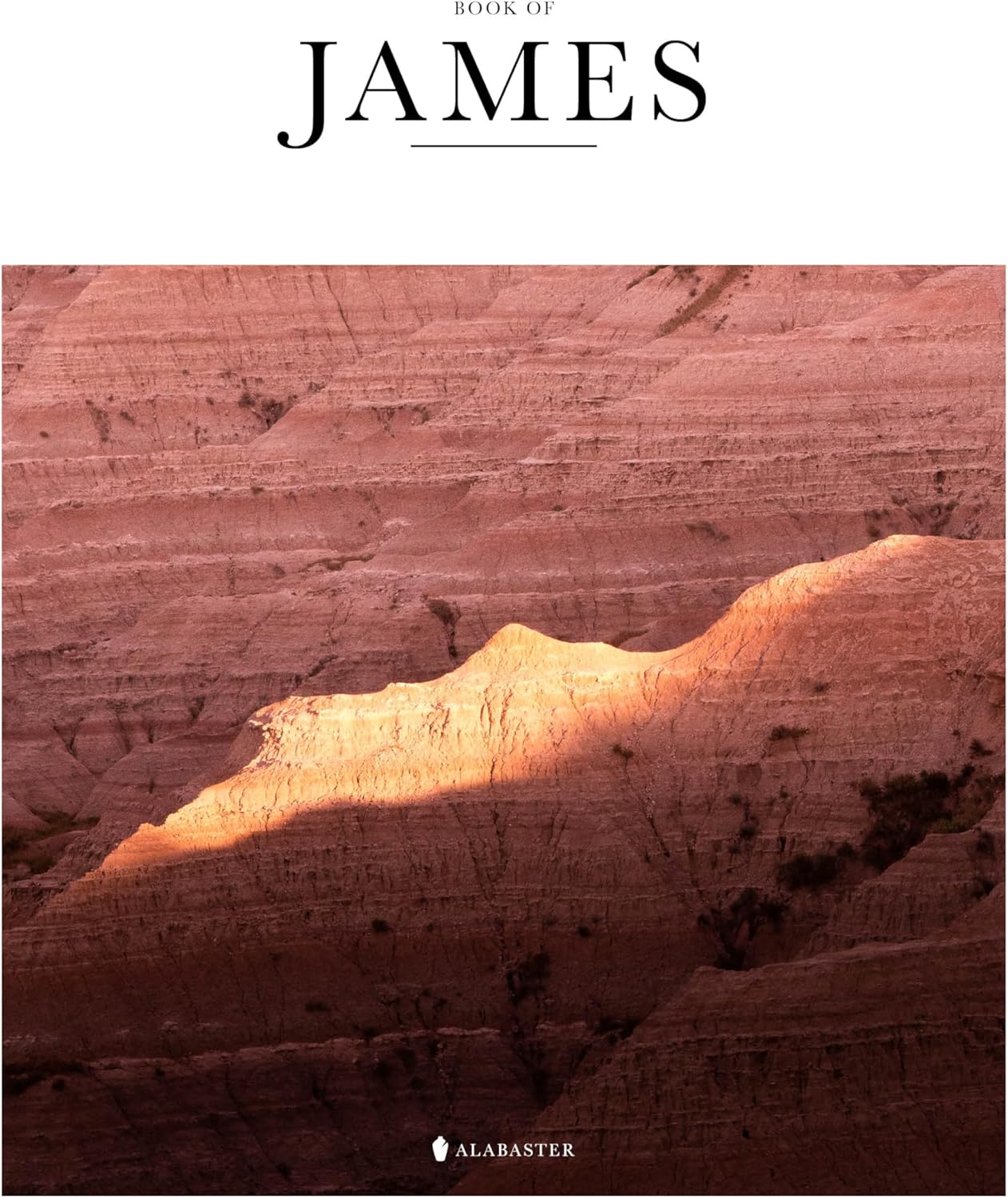 Book of James (SC,NLT) - Image 1