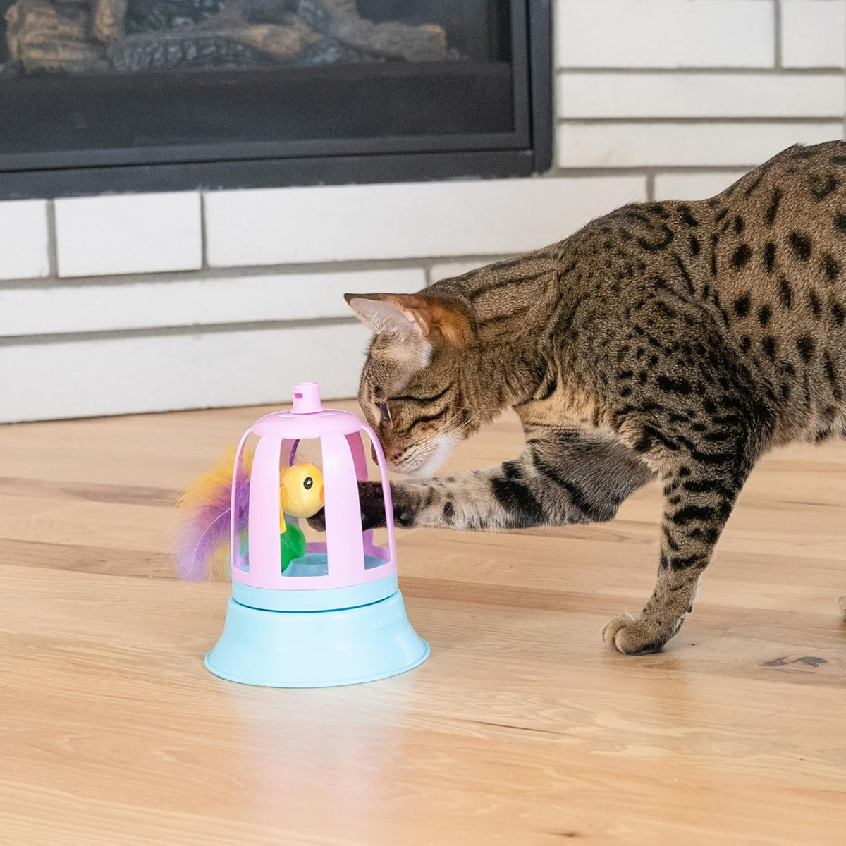 Catstages feline entertainment toy close up