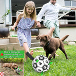 Amasiver dog toy pump and needle accessory kit