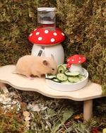 Close up view of premium Niteangel freeze dried cucumber rewards for dwarf and syrian hamsters