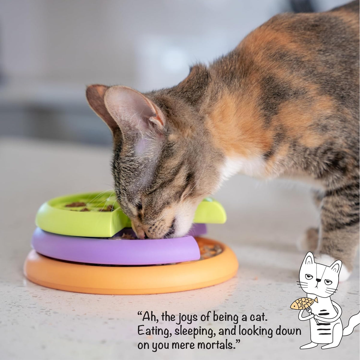 Cat foraging toy showing wet food serving option