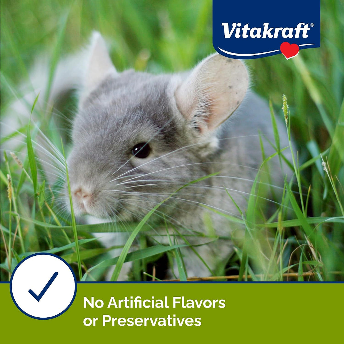 Authentic Vitakraft USA imported chinchilla reward snack blend texture details.