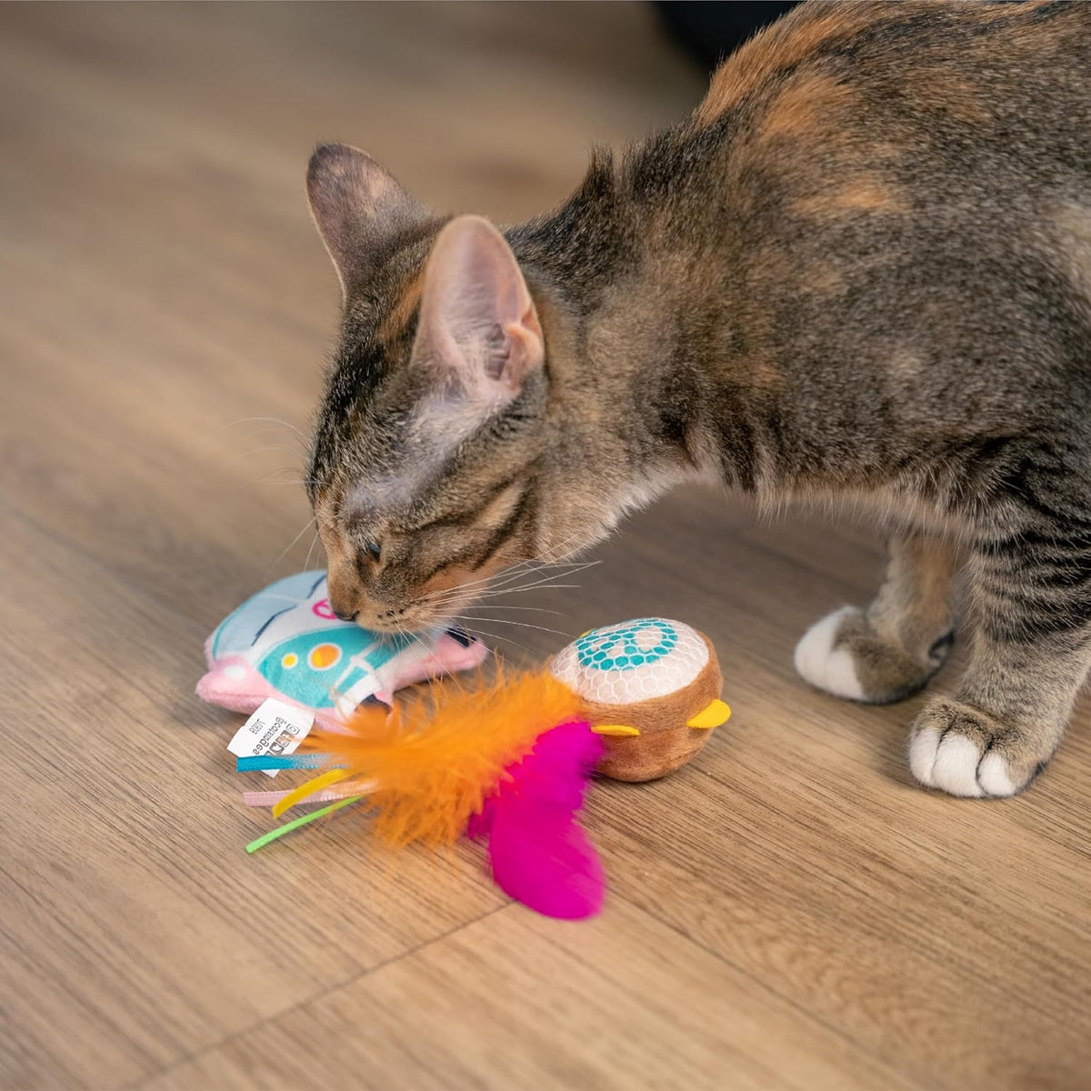 Catstages festival cat toys being used in play