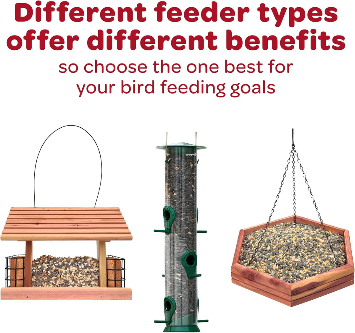 Kaytee bird food bag next to a bird feeder setup