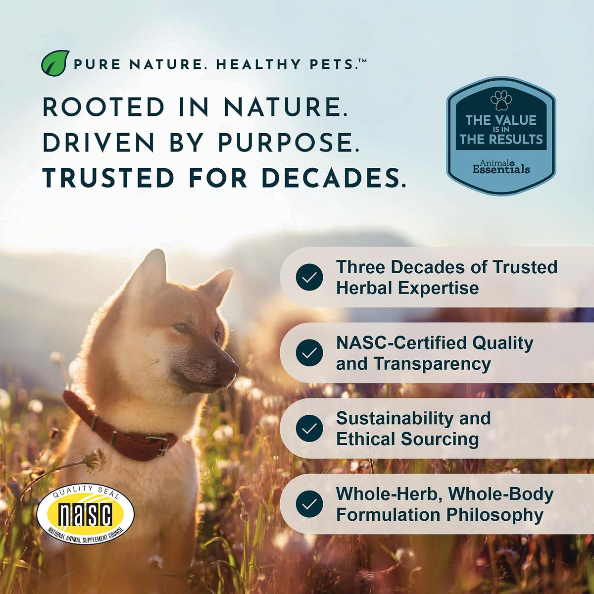Premium organic slippery elm bark supplement for pet stomach health
