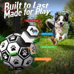 Dog playing with Qdan 6 inch soccer ball in park