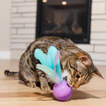 Purple tumbler cat toy with feather attachment