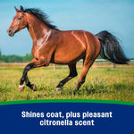 Farnam Wipe Two citronella fly defend formula liquid spray application