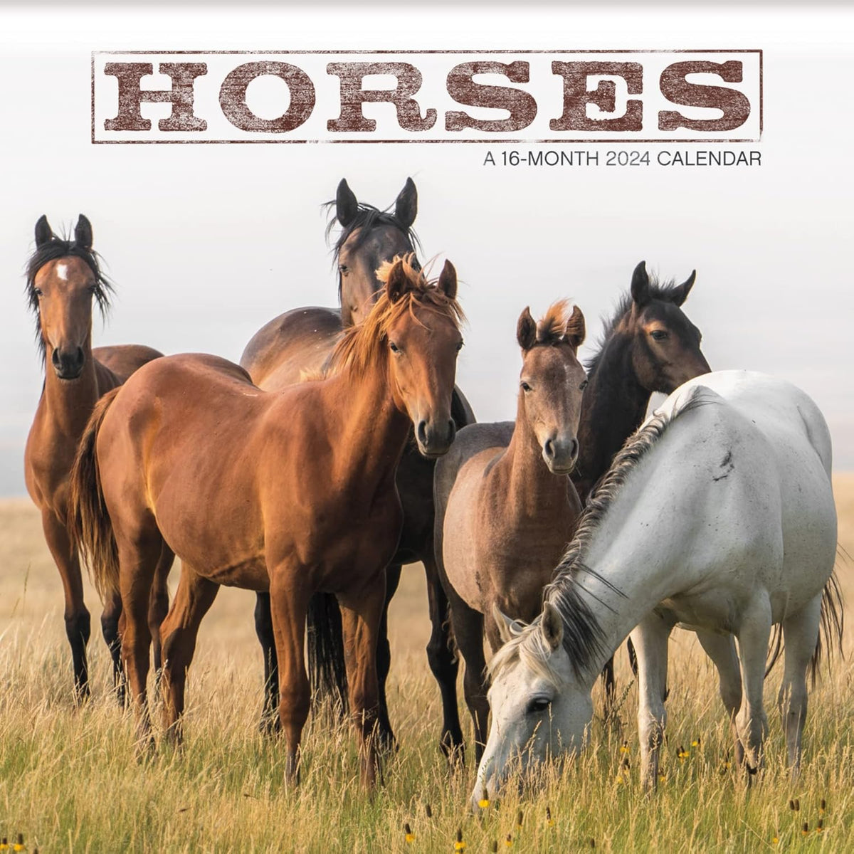 2024 Horses Wall Calendar - Image 1