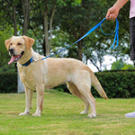 Premium imported Kidding Pets leash for wet weather walks