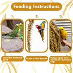 Bird enjoying natural spray millet treat