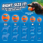 Chuckit large 3-inch high-bounce fetch ball