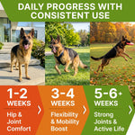 StrellaLab veterinary formulated advanced hip joint care formula for senior dogs