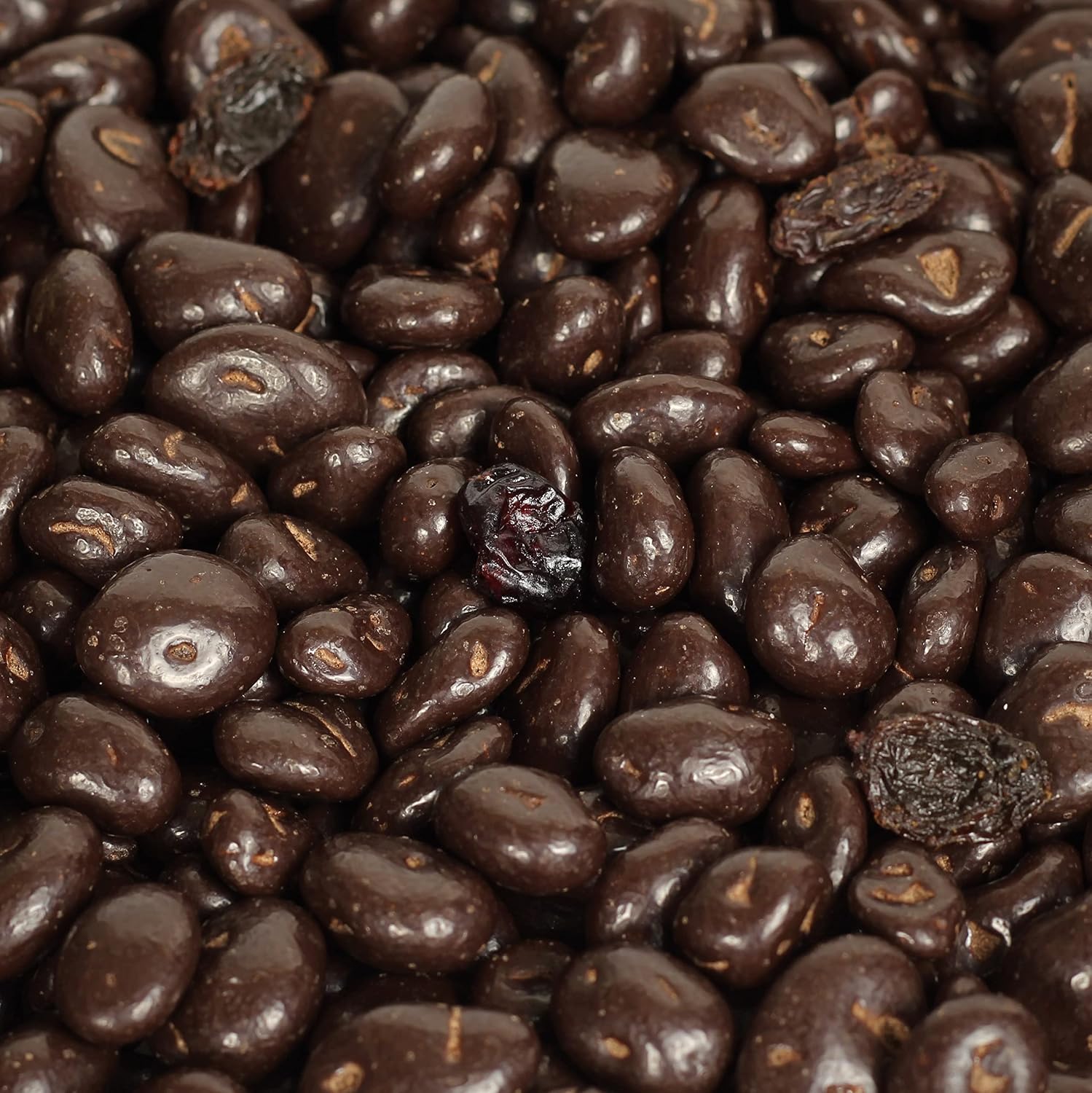 Its Delish gourmet dark chocolate covered raisins 5 pound bulk bag front view