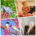2 Pcs Bird Diapers Bird Harness Flight Suits Diapers with 80 Inch Flying Leash Reusable Parrot Nappy with Waterproof Inner Layer for Cockatiel Budgie Conure Parakeet Lovebird-Heart&Duck - Image 9