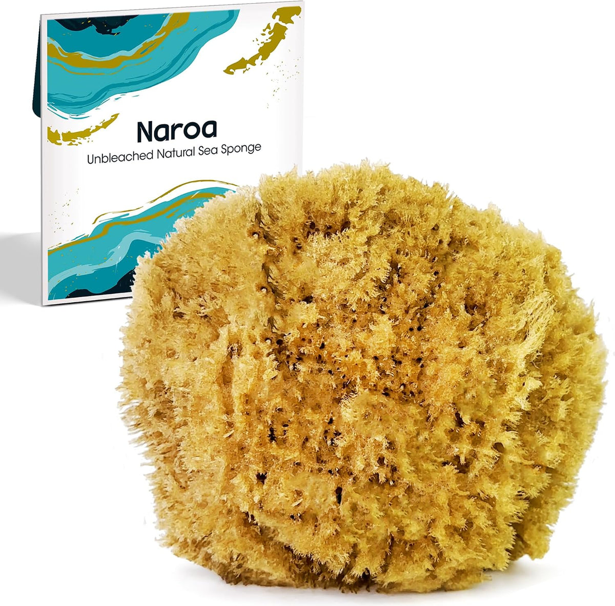 Naroa natural sea sponge front view