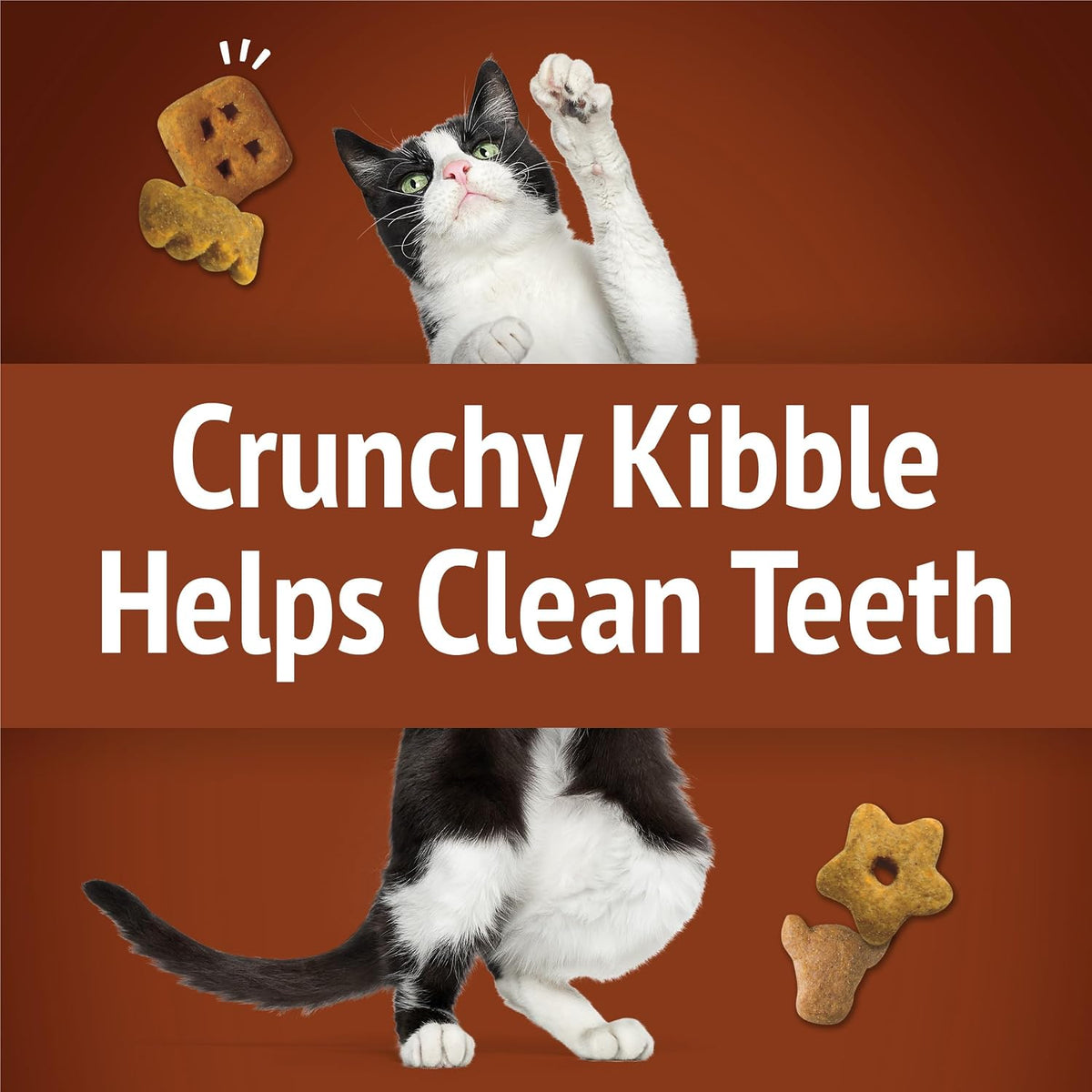 USA imported Purina cat treats ingredient list and feeding instructions view.