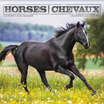 2025 Horses Wall Calendar (Bilingual French) - Image 1