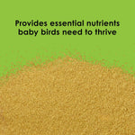 Kaytee baby bird formula texture and powder consistency