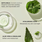 Beauty by Earth hyaluronic acid moisturizer lifestyle application shot