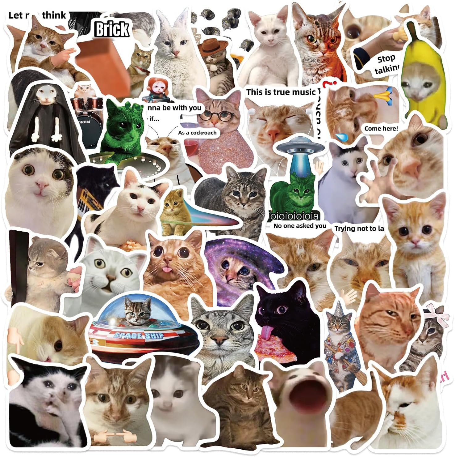 Slncwtr Cat Meme Stickers 50 Piece Set