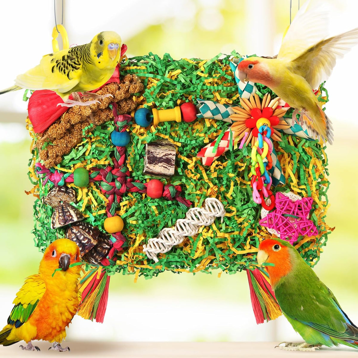 Conure interactive climbing wall toy with plastic hanging hooks