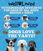 Authentic Well Loved pet supplies container for canine immune and digestive tract wellness