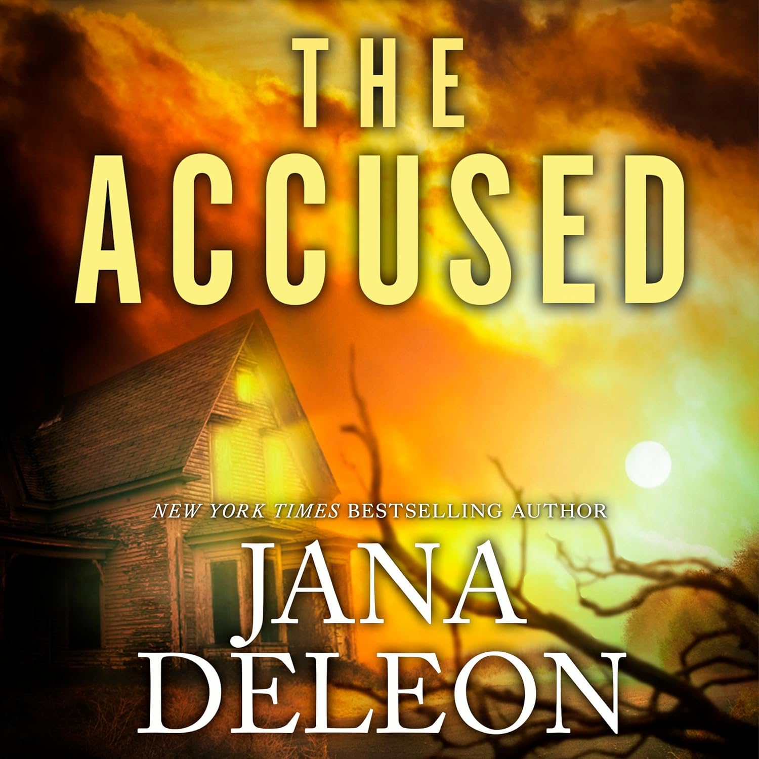 The Accused by Vasundhara paperback book front cover
