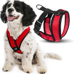 Gooby Comfort X Head in Harness - Pink, Small Harness Patented Choke-Free X Frame - Perfect on The Go Harness for Medium Dogs No Pull or Small Dogs for Indoor and Outdoor Use - Image 10