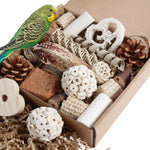 Kyouki natural bird foraging box medium size front view for parrot enrichment.