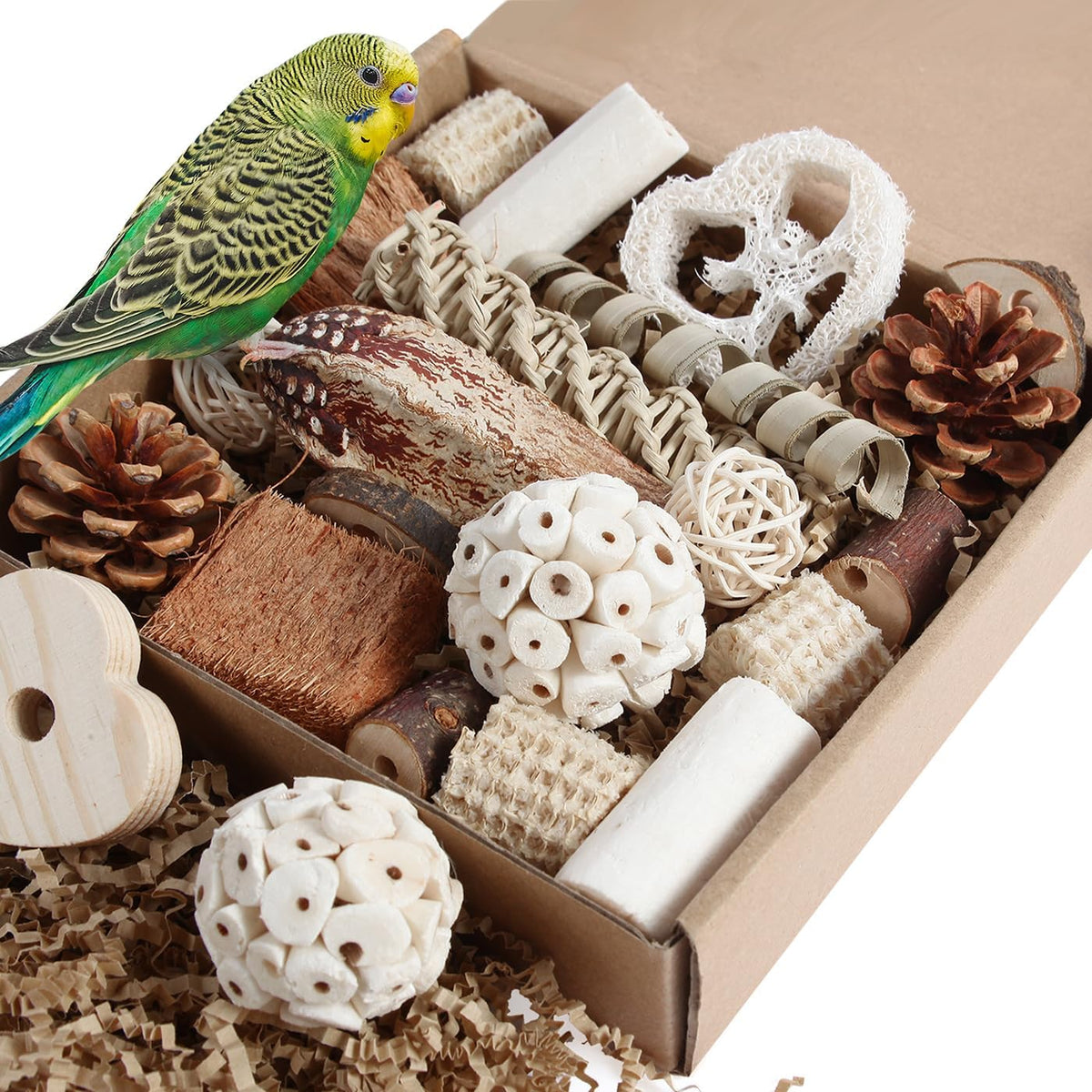 Kyouki natural bird foraging box medium size front view for parrot enrichment.