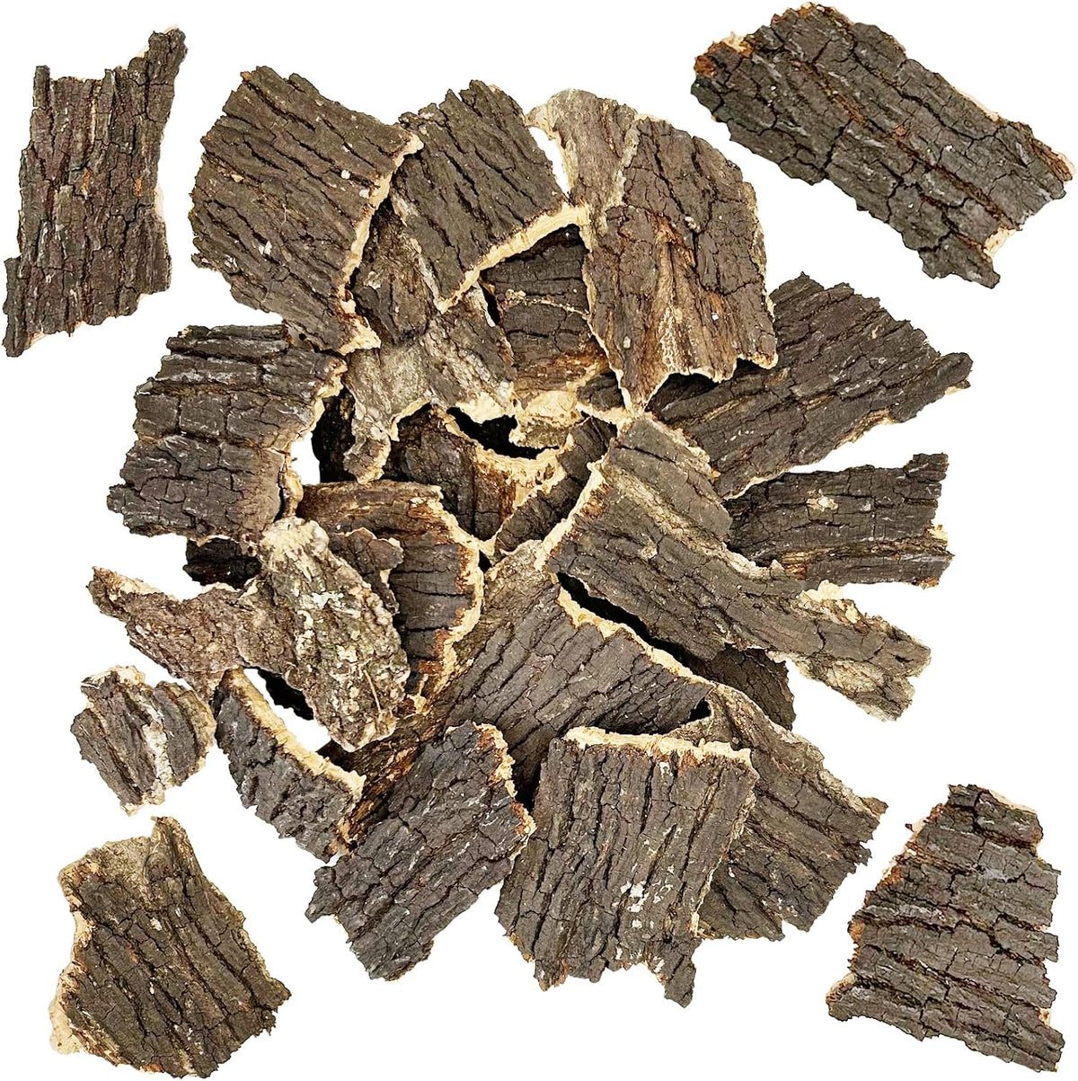 Reptile Cork Bark Bulk 2 Lb Cork Wood for Terrarium, Natural Flat Cork Bedding Terrarium Substrate for Bearded Dragon Snake Spiders Hermit Crabs Geckos Tortoise - Image 9