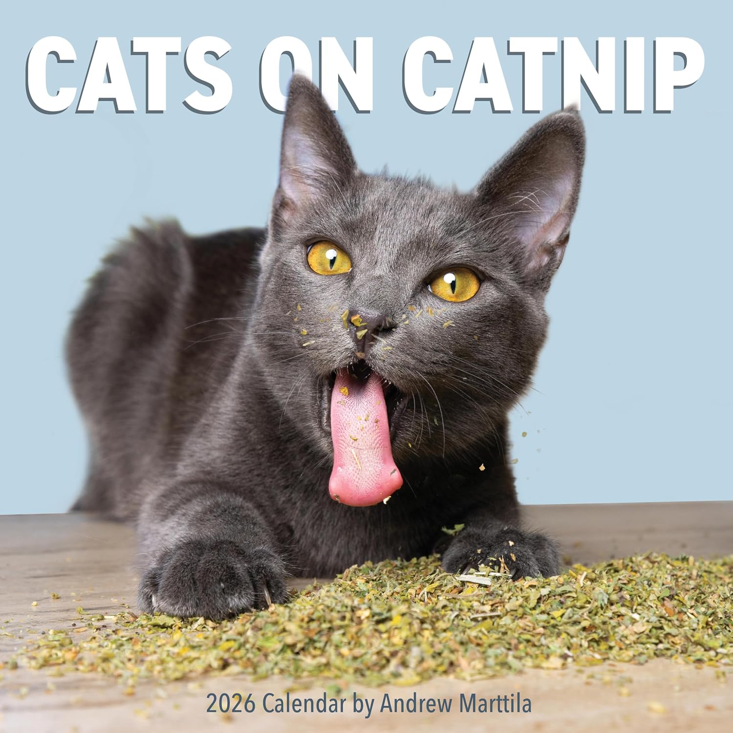 Cats on Catnip Wall Calendar 2026: A Year of Cats Living the High Life - Image 1