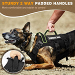 Interchangeable hook and loop pet patches attached to black service dog vest
