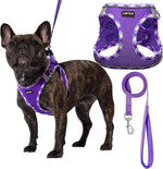 AMTOR small dog harness front view