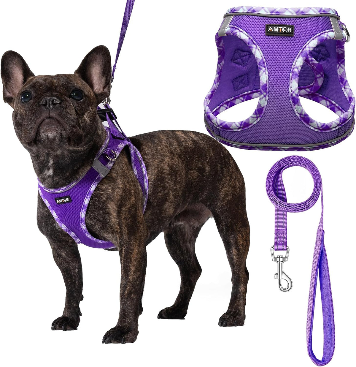 AMTOR small dog harness front view