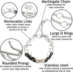 Herm Sprenger canine prong collar quick snap buckle mechanism detailed shot.
