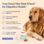 Pawfy canine gut health soft chews for seasonal allergy and diarrhea relief