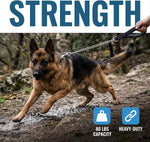 Heavy duty pet training lead attached securely to a durable metal harness ring.