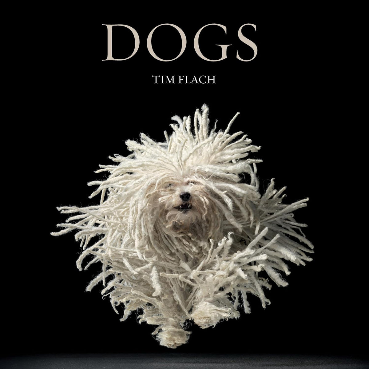 Dogs - Image 1