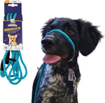 Heather's Heroes Sidekick dog headcollar turquoise mini front view