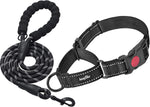 Haapaw imported premium dog collar with lockable buckle feature