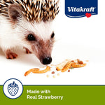 Premium insect and fruit trail mix snack for exotic pet foraging stimulation