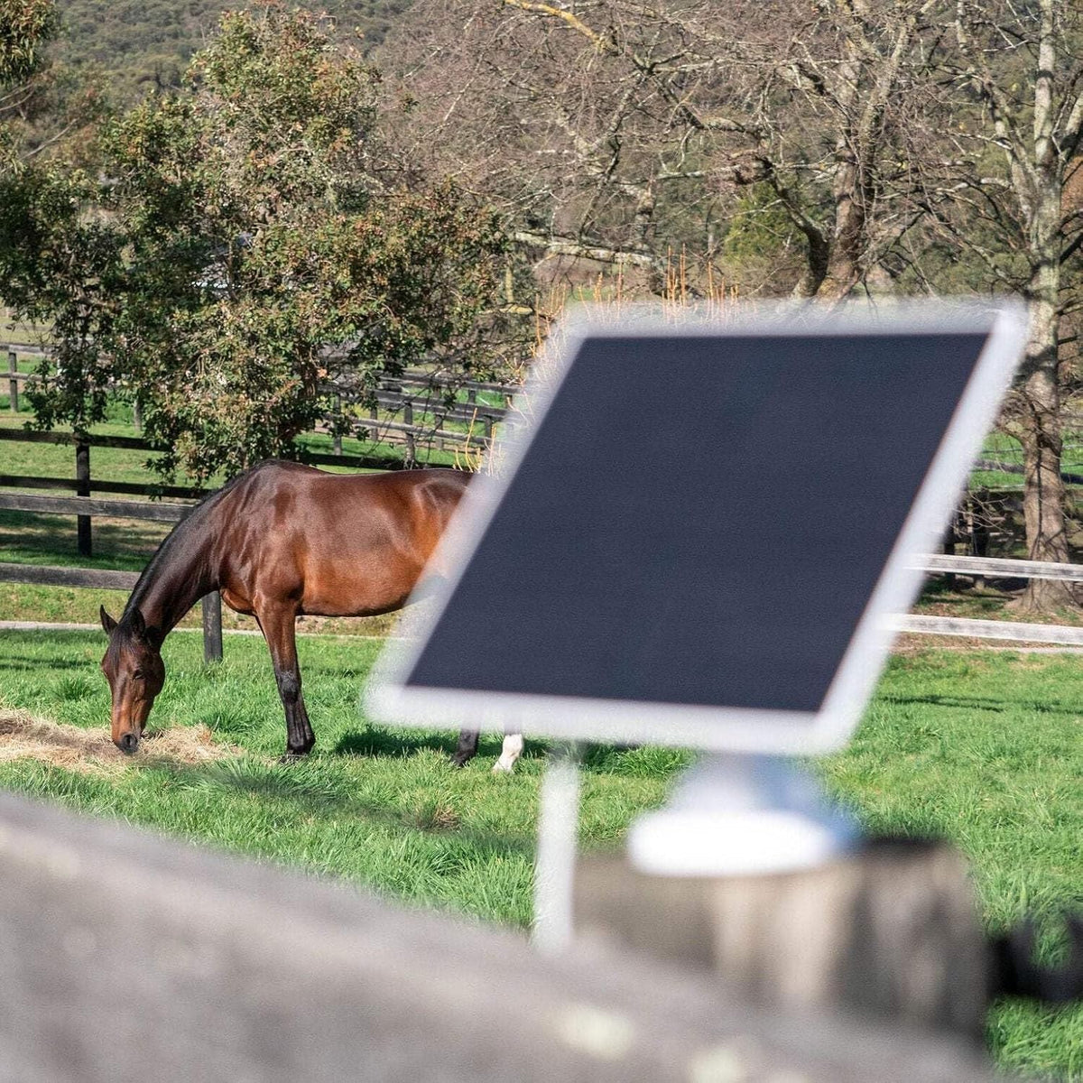 Lumiere Equine Eye Vision 4G wireless horse camera front view with lens