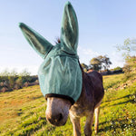 Mini Donkey Fly Mask with Ears Protection Breathable Mule Fly Mask with Long Ears Protection from Insects and Bugs Soft Mesh with Adjustable Fastener Easy to get on and Off(Rose Red) - Image 9