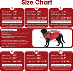 QBLEEV reflective dog jacket demonstrating low light visibility with luminous safety strips.