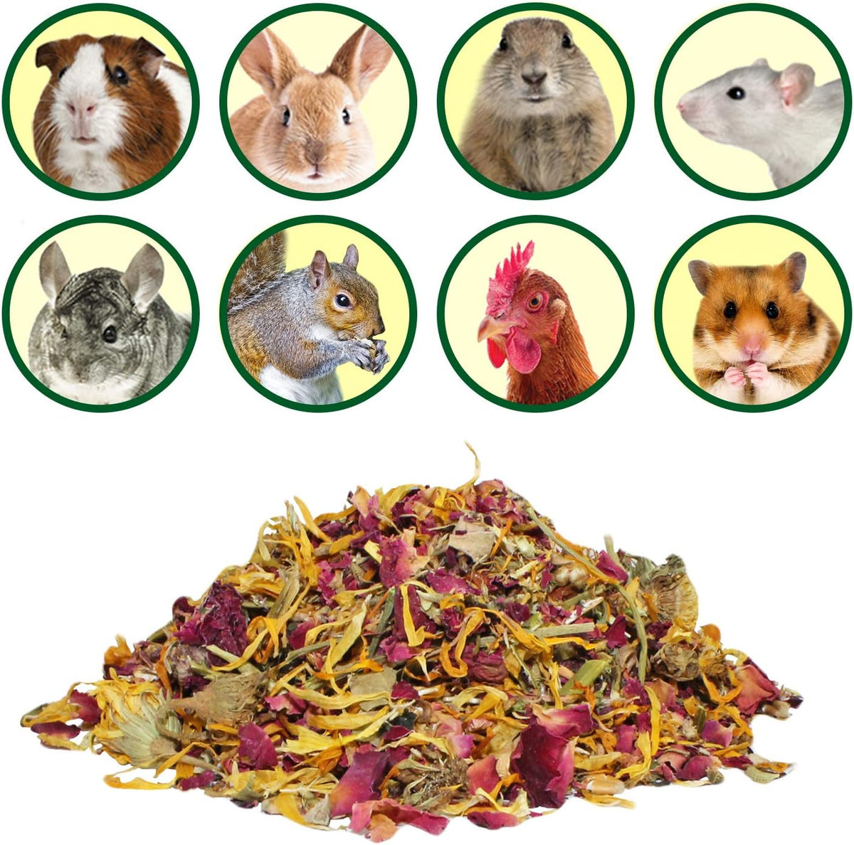 Natural rose hips and hibiscus pet treats showing detailed leaf textures