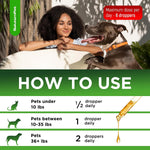 SalutemPet respiratory drops for pets being mixed directly into a dog bowl filled with dry food.