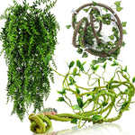 Hercocci reptile vines front view showing flexible structure