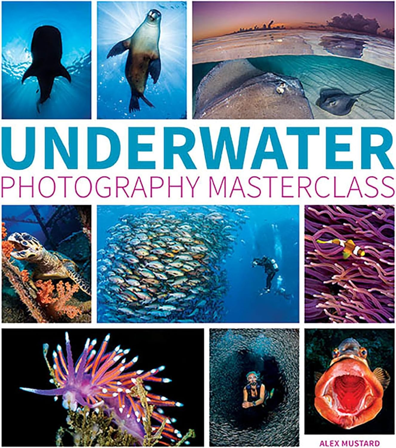 Underwater Photography Masterclass - Image 1